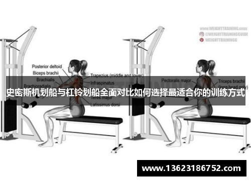 史密斯机划船与杠铃划船全面对比如何选择最适合你的训练方式