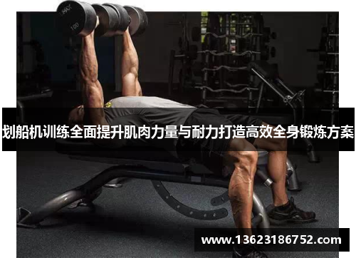 划船机训练全面提升肌肉力量与耐力打造高效全身锻炼方案