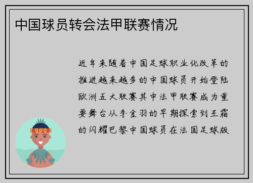 中国球员转会法甲联赛情况
