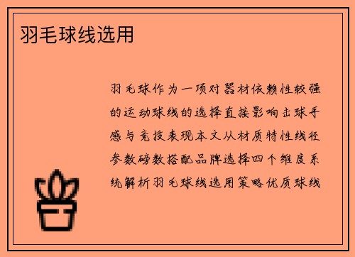 羽毛球线选用